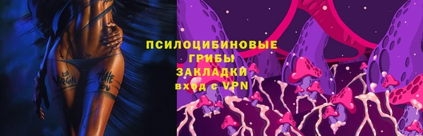 мяу мяу мука Нея