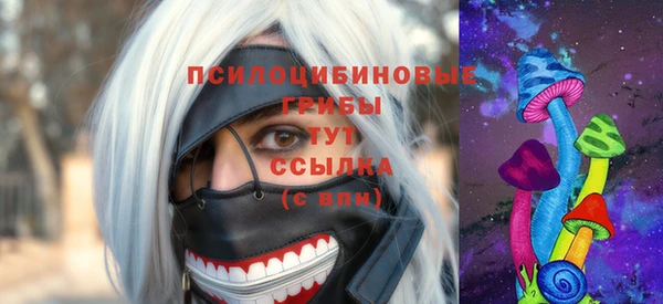ешки Нефтегорск